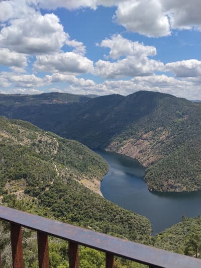 The image depicts a panoramic view of the Douro River valley near Alijó, Portugal, on a sunny day with a partially cloudy sky. The river flows through a deep gorge, flanked by steep hills covered in dense, green vegetation. A winding dirt road is visible on one of the hillsides. In the foreground, a section of a rusty, metal railing suggests the viewpoint is from a raised platform or balcony. The distant hills fade into the horizon.