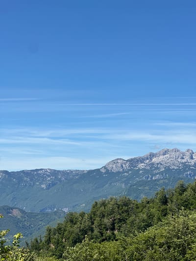 A vertical, full-frame photograph captures a panoramic view of a mountainous landscape under a clear blue sky, likely taken in or near Crkvine, Montenegro. The upper half of the image is dominated by a vibrant, cloudless blue sky, with faint, horizontal streaks of white wispy clouds and contrails scattered across it, suggesting a high altitude or clear weather conditions.
The lower half of the image reveals a layered vista of rugged mountains and dense green vegetation. In the foreground, a thick canopy of lush green trees and foliage dominates the bottom third of the frame, with some leaves appearing slightly out of focus. These trees form a natural, verdant barrier, suggesting the vantage point is from a slightly elevated position within a forested area.
Beyond the immediate foreground, the landscape transitions into rolling hills covered in deep green, dense forests. These hills recede into the middle ground, showing contours and valleys that are partially obscured by the sheer volume of trees. Further in the distance, a prominent mountain range rises, characterized by its jagged, rocky peaks. These mountains are a mix of grey rock, with patches of what appears to be snow or lighter-colored rock scattered across their exposed surfaces, indicating significant elevation and a rugged terrain. The texture of the mountains suggests a rocky, arid environment at higher altitudes, contrasting with the verdant lower slopes.
The lighting suggests it is daytime, likely mid-morning or afternoon, with the sun illuminating the scene and casting subtle shadows that define the terrain's contours. There are no visible people, animals, or man-made structures in the frame, making it a purely natural landscape scene. The overall impression is one of expansive natural beauty and rugged, untouched wilderness.