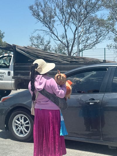 A person dressed in traditional Mexican clothing stands next to a gray SUV and a white truck, on what appears to be a paved street. The person wears a large white hat, a lilac-colored sweater, a gray shawl or strap, and a magenta-colored skirt. They are holding two ceramic pig figurines. The white truck has the words "MERCANTIL TRANSPORTE CARGA" on its side. In the background, there are bare trees against a blue sky and a fence. The location appears to be San Juan del Río, Mexico.