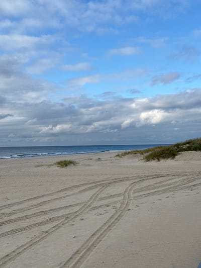 The image depicts a tranquil coastal scene on the sandy beach of Yantarny, Russia, under a partly cloudy sky. The horizon line is dominated by the blue expanse of the sea, exhibiting gentle waves breaking closer to the shore. The mid-ground and foreground consist of light-colored sand, marked extensively by multiple sets of parallel tire tracks, suggesting recent vehicle activity. To the right, low sand dunes with patches of green and dry grasses rise slightly from the beach. A smaller cluster of grass is visible in the mid-ground, centrally located on the sand. The sky above is a mix of bright blue patches and numerous white to grey stratocumulus clouds. Two tiny, dark specks, likely birds, are visible in the upper-mid section of the sky. No individuals or man-made structures are present in the immediate scene.