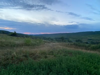 A wide-angle, ground-level shot captures a landscape at dusk in Horodca, Moldova. The sky is a gradient of pale blue and gray with scattered clouds, and a faint band of pink is visible on the horizon. Rolling hills covered in green vegetation and trees form the middle ground, with a winding road barely visible in the distance. The foreground is dominated by a grassy field, with taller, dry grasses on the left and a denser patch of lush green foliage on the right. No people or animals are present in the scene. The overall impression is one of a tranquil, natural environment at the close of day.