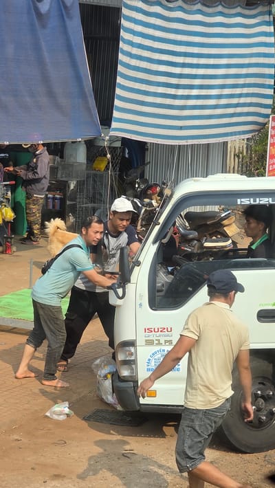 Here is a description of the image:
The image shows a street scene in what appears to be Xuân Long, Vietnam. Several men are working on or around a white Isuzu truck. One man is inside the cabin of the truck, possibly working on the engine. Another man is assisting him from outside, reaching into the engine compartment. A third man is inspecting the rear of the truck, and another stands nearby. There is an assortment of objects nearby, including tools, parts, and a dog. A striped awning provides shade in the background, along with a blue tarp. The ground appears to be paved, and there are some pieces of trash and debris scattered around. The Isuzu truck has an advertisement on the side "ISUZU D-TURA0 91 P5". The location is identified by the OCR on the truck's side "KLBT: H3N VẬN CHUYỂN".
