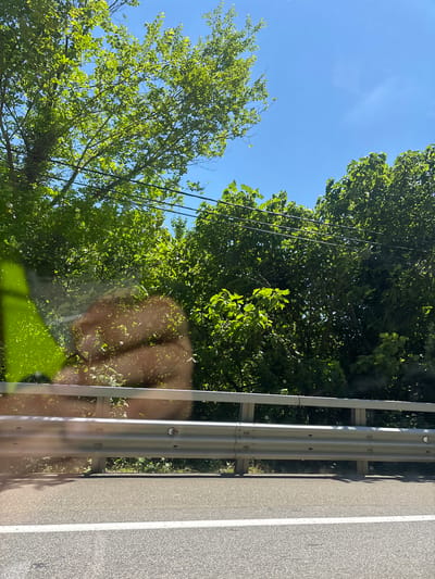 A photograph taken from inside a vehicle shows a view of a road with a guardrail, trees, and a bright blue sky. The guardrail is made of silver metal with horizontal beams. The road surface is asphalt with a white line painted on it. Lush green trees line the area beyond the guardrail, their leaves catching the sunlight. Overhead, dark electrical wires are visible against the clear blue sky. The image is taken from a low angle, looking slightly upwards. The overall scene suggests an outdoor environment, possibly a highway or road passing through a natural area. There is no identifiable person or action occurring in the scene. The location is not specified in the image.