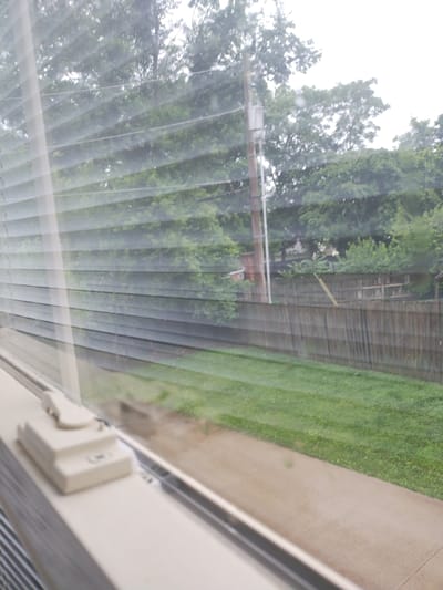 The image shows a view through a window with blinds, looking out onto a backyard scene in Nicholasville, Kentucky. In the foreground, a light-colored window crank mechanism is visible on the windowsill. Beyond the window, a wooden fence runs horizontally across the middle ground, separating a manicured green lawn from a wooded area with mature trees. A paved walkway is visible in front of the fence and lawn. A utility pole with some attached equipment stands to the left of the fence, partially obscured by foliage. The sky is overcast, suggesting a cloudy or rainy day. There are no people or animals present in the image.