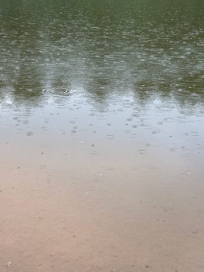 This media file shows a surface of water experiencing rainfall. The scene is predominantly natural, with the left side of the image featuring a darker, greener hue, possibly representing vegetation or deeper water, where the rain is creating a dense pattern of ripples and splashes. As the view moves to the right, the water becomes lighter, appearing more like a shallow puddle or a reflective surface with a brownish-grey tint. In this area, the raindrops are sparser, creating distinct concentric circles on the water's surface. The lighting suggests it is daytime, possibly overcast or during a period of diffused light, as there are no strong shadows. The weather is clearly rainy, with visible signs of impact from falling water droplets. The image captures a moment of tranquil, natural weather activity, with no human presence or man-made objects visible. There is no visible text.