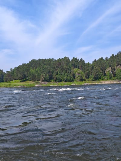 An eye-level, medium shot captures a wide, dark river flowing in the foreground. The water exhibits a textured surface with ripples and small waves, suggesting a moderate current. In the midground, a gently sloping embankment is covered with lush green grass, transitioning into a dense forest of pine trees that covers the hillside. The trees are tall and closely packed, creating a thick green canopy. Scattered among the trees on the embankment are several large, gray rocks. The sky above is a bright blue with wispy white clouds that streak across the expanse. The scene appears to be a natural landscape, likely situated near a body of water bordered by a forest, consistent with the geography of Porog, Russia. No people or animals are visible in the image.