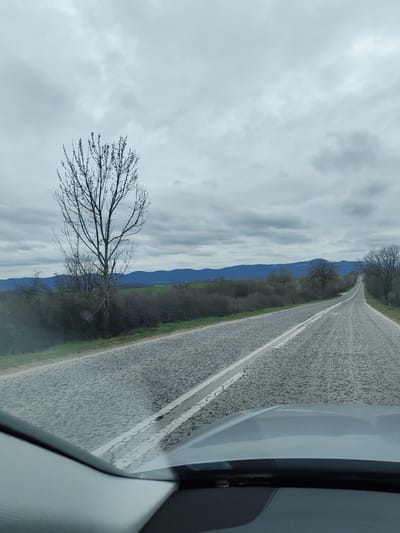 A road stretches into the distance under an overcast sky. The road surface is a textured gray, marked with a double white line. Scrub vegetation lines the left side of the road, with a leafless tree standing prominently. Distant hills can be seen on the horizon. The scene is viewed from inside a vehicle, with the dashboard visible in the foreground. The location is along the road into Mramoren, Bulgaria.