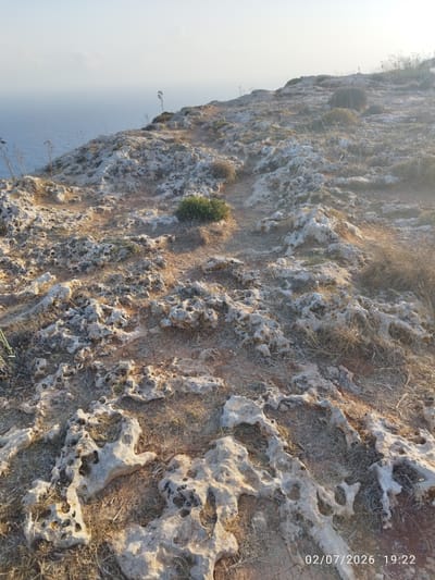 This media file depicts a rugged, rocky coastal landscape in Dingli, Malta. The foreground is dominated by porous, light-colored rocks with numerous holes and crevices, interspersed with dry grasses and patches of reddish-brown earth. A narrow dirt path winds through the terrain, suggesting it is a hiking or walking trail. In the background, the vast expanse of the Mediterranean Sea meets a hazy sky, with the horizon line barely discernible. A few sparse, dry plants dot the rocky slopes. The lighting suggests it is late afternoon or early evening, with the sun casting long shadows and creating a warm, golden glow. The atmosphere is peaceful and serene, characteristic of a natural coastal setting. Visible text in the bottom right corner reads "02/07/2026 19:22", indicating the date and time the photograph was taken.