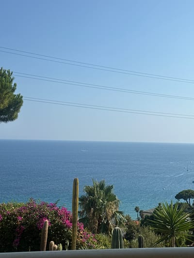 The image shows a view of the Ligurian Sea from a hillside in Ospedaletti, Italy. In the foreground, there are various plants including cacti, bougainvillea with bright pink flowers, and palm trees. The sea is a deep blue, and several boats, including sailboats and what appears to be a speed boat, are visible on the water. The sky is a clear, bright blue, with four parallel power lines crossing the upper portion of the frame. The overall scene suggests a sunny, Mediterranean coastal environment.