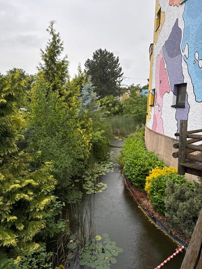 The image captures an outdoor scene, likely in Leverkusen, Germany, featuring a narrow, dark-colored waterway. Lily pads float on the surface of the water, with some tall reeds growing along the banks. Lush green foliage, including trees with yellow-green leaves and dense bushes, borders the waterway. To the right, a vibrantly painted building with a mural-like design in pastel colors—pink, purple, yellow, and blue—stands prominently. The building has two visible windows and a section of a wooden railing. The sky overhead is overcast and grey, and the surface of the water shows ripples, indicating that it is raining. The overall impression is of a slightly damp, colorful, and vegetated urban environment.