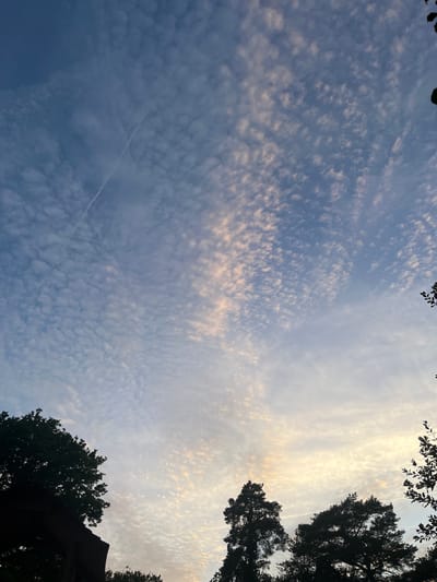 The image shows a sky filled with small, puffy clouds, known as cumulus humilis or "fair weather" clouds. The clouds are predominantly white, with some areas tinged with pale yellow and pink, indicating the light of either sunrise or sunset. A faint contrail, likely from an aircraft, is visible as a thin white line stretching diagonally across the upper left portion of the sky. Silhouetted against the sky in the lower part of the image are the dark shapes of trees and what appears to be a dark, angled structure, possibly part of a building or shelter. The overall scene depicts a calm, atmospheric sky. The location is identified as Sonchamp, France.