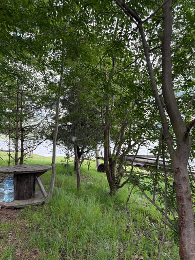 The image displays an outdoor scene in Цигов чарк, Bulgaria, captured from a wooded vantage point overlooking a body of water. In the immediate left foreground, a circular wooden table, fashioned from a large cable spool, rests on the ground. Two large plastic water bottles, one clear with a blue label "Devin" and another solid blue, are positioned on the base of this table. The ground is covered with a mix of vibrant green grass and patches of reddish-brown soil or fallen leaves. Multiple tree trunks, varying in girth and bark texture, rise from the ground, with their branches and dense green foliage dominating the upper and mid-portions of the frame, partially obscuring the view. Through the trees in the midground, a serene, light blue body of water, likely a lake or reservoir, is visible. A strip of green grass separates the trees from the water's edge. To the right midground, a wooden structure, possibly a pier or boat ramp, extends towards the water, with a dark vehicle wheel (likely from a trailer) visible near its base on the left. The background reveals the distant, faint outline of the opposing shore across the water. Overcast or hazy daylight illuminates the scene, filtering through the dense tree canopy and casting a soft, diffused light, with no direct shadows evident. No individuals, animals, or specific actions are depicted.