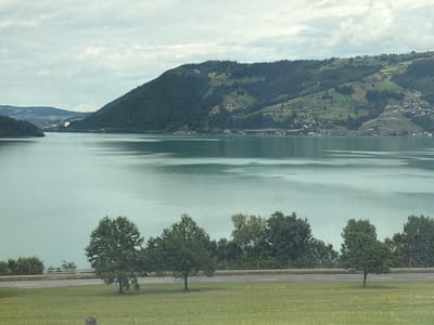 The image depicts a serene landscape view of Lake Zug in Immensee, Switzerland. The foreground features a lush green grassy field with a single wooden post partially visible in the bottom left corner. A paved road with two white lines runs horizontally across the mid-ground, bordered by a wire fence. Several trees with full green foliage are scattered along the edge of the road and behind it.
The vast expanse of Lake Zug dominates the middle and upper portions of the image, its surface reflecting a muted, greenish-blue hue under an overcast sky. In the distance, a steep, tree-covered mountain range rises from the lake's edge. The slopes of the mountain are dotted with patches of green fields and clusters of buildings, suggesting a settlement. The sky above is filled with a layer of cloudy, greyish-white clouds, creating a diffused lighting condition. The overall scene conveys a peaceful and natural ambiance of a Swiss lakeside environment.