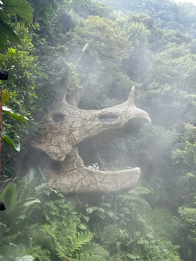 The image shows a rock formation that resembles a dragon's head, located in the city of Qingyuan, China. The formation is surrounded by lush green vegetation and mist, creating an atmospheric and somewhat mystical scene. Two individuals, appearing to be tourists, are visible in the foreground, near the base of the dragon's head. One person is wearing a white hat. The dragon's head is intricately sculpted, with visible cracks and textures that give it a natural, aged appearance. The eyes of the dragon appear to be carved out openings. The surrounding environment is dense with various types of plants, including large-leafed plants and ferns, indicative of a humid climate. The mist adds a diffused quality to the light, softening the overall image. The rock formation appears to be part of a larger landscape, with more trees and hills visible in the background.