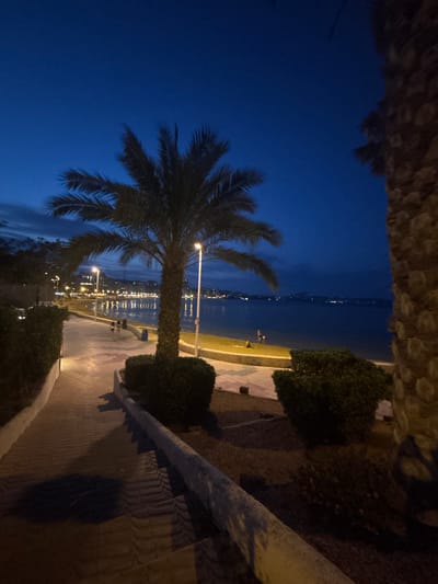 An outdoor, nighttime, eye-level, long shot captures a palm tree in the foreground, casting a shadow on a paved walkway. The walkway leads to a beach and the ocean, with a distant city skyline illuminated by lights. The sky is a deep, dark blue, indicating dusk or night. The scene is located on the beachfront promenade in Calp, Spain, adjacent to the beach of Playa de la Calalga.