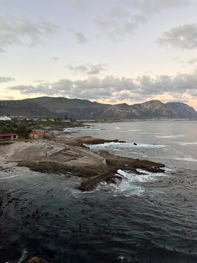 This photograph presents a rugged coastal landscape under an overcast sky, likely during the diffused light of late afternoon or early morning. The scene, when viewed as a landscape orientation (rotated counter-clockwise), features a range of imposing mountains dominating the left side, their peaks partially obscured by grey and slightly illuminated clouds that fill the upper portion of the frame.
Along the base of the mountains, a small coastal settlement is visible, characterized by scattered buildings, some with distinct red roofs, nestled amidst green vegetation.
The right side and foreground are defined by the expansive ocean and a rocky shoreline. Dark, jagged rocks extend into the water, where foamy white waves crash against them. A prominent concrete platform or jetty, built onto these rocks, projects into the sea. On this platform, a white rectangular structure, possibly crates or equipment, is visible, alongside two very small human figures near the water's edge, suggesting casual observation.
The ocean itself is a deep, dark blue-green, textured by ripples and patches of white surf. Numerous dark, irregularly shaped clumps, consistent with kelp or seaweed, are scattered across the water's surface, hinting at rich marine life. The overall impression is one of natural grandeur and coastal tranquility. No discernible text is visible within the image. The mountainous coastal features and kelp-rich waters are consistent with the provided location context of Overstrand Local Municipality, South Africa.