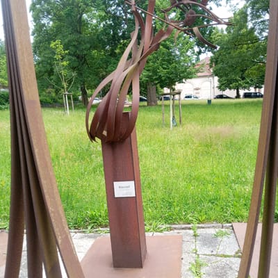 The image shows an outdoor sculpture made of rusted metal. The sculpture has a central rectangular base with abstract, curved metal pieces extending upwards from it, resembling flames or tendrils. A small white plaque is affixed to the front of the central base, bearing the title "Blaustreif" and additional text including "2011 | Stahl oxidiert | Eisen" and a website address. The sculpture is situated in a grassy park area with scattered yellow wildflowers and some small trees. In the background, there are more trees, a building with white walls and arched windows, and several parked cars, including a white van and a black car. The overall setting is a public outdoor space, likely a park or square in Eisenach, Germany, given the inscription on the plaque. The lighting suggests it is daytime with overcast skies.