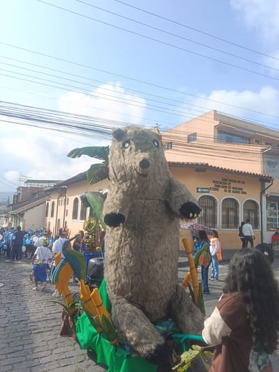 An outdoor scene in Amaguaña, Ecuador, depicts a public event or parade on a cobblestone street under a partially cloudy blue sky. In the foreground, a large, upright, shaggy brown-grey bear figure, approximately twice human height, stands prominently. Its face features white eye sockets and a black nose, with black-tipped paws. The bear is part of a float-like display, adorned with bright green fabric, stylized yellow-green bamboo stalks, green foliage resembling banana leaves and coconuts, and two colorful, stylized macaw figures in yellow, blue, and green. A black speaker is visible near the base of the bear figure.
In the immediate foreground on the right, the back of a person with long, dark, wavy hair, wearing a brown and cream-colored top, is visible, facing the bear figure.
To the right of the bear, several individuals are present, including one holding a patterned umbrella, another in an orange vest, and two walking past a building. This building is a light orange/peach, two-story structure with a visible sign identifying it as "SEDE SOCIAL DE LA ASOCIACION DE JUBILADOS DE AMAGUAÑA 3° PISO 30 DE AGOSTO 2004" and a "UNA VIA" arrow. Further right, a "MEGA" sign is partially visible.
To the left and in the background, a procession moves along the street. This group includes individuals, possibly children, dressed in matching blue tops and light-colored hats, some carrying light blue and white balloons. Other participants wear white shirts and colorful headwear, indicative of traditional attire. Distant buildings with arched windows and utility poles with numerous overhead wires are visible, with a mountain range in the far background.