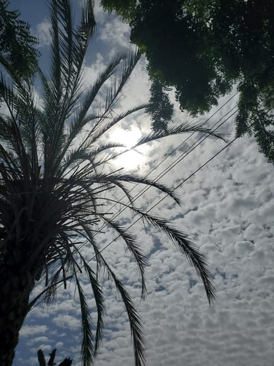 This is a low-angle, full-shot photograph taken from Kabwir, Nigeria, looking up at a cloudy sky. In the foreground, a silhouetted palm tree dominates the left side of the frame, its fronds fanning out towards the sky. The sun is visible through the clouds, casting a bright glow. In the upper right corner, the dark green foliage of another tree is visible. Several power lines traverse the sky diagonally from the upper right to the lower left. The sky is filled with a dense layer of white and gray clouds, with patches of blue sky peeking through in places. The overall impression is one of an outdoor scene on a partly cloudy day in a tropical or subtropical environment.
