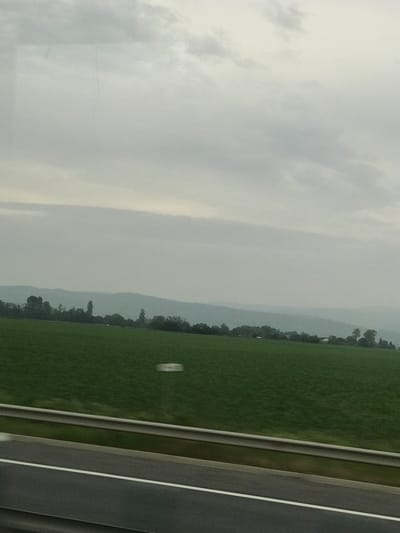 This image presents a rural landscape near Ruși-Ciutea, Romania, captured from a moving vehicle under an overcast sky. The upper approximately 60% of the frame is filled with a uniform light grey sky, showing subtle cloud formations and faint vertical lines consistent with a window pane. Below the sky, a series of hazy, desaturated blue-grey hills extends across the horizon. A dense line of dark green trees runs along the base of these hills, with one prominent, tall, dark, columnar structure visible among the trees, slightly left of the image center. The midground features an expansive, flat field of vibrant green vegetation. In the lower approximately 15% of the image, a grey metal guardrail runs horizontally, separating the green field from a dark asphalt road. A solid white line marks the edge of the road. Motion blur is visible on the guardrail, the road, and as a faint white streak across the green field, indicating the photograph was taken from a moving platform. No people are visible.