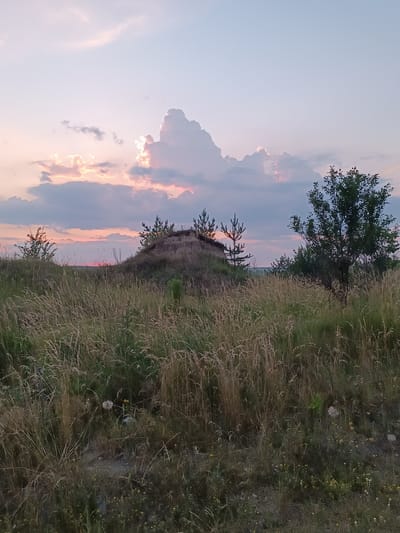This image depicts a natural landscape at sunset. In the foreground, tall dry grasses and scattered yellow wildflowers cover a gently sloping terrain. A dark, overgrown tree stands on the right side of the image. In the middle ground, a small hillock is visible, topped with a few young pine trees. A larger tree is situated behind the hillock, to the left. The horizon line is low, emphasizing the expansive sky above, which is painted with soft pinks, oranges, and purples, indicating the setting sun. The scene appears to be located in an uncultivated area, possibly on the outskirts of a city or in a rural setting. While the image's metadata specifies it was taken in Lozova, Ukraine, the visual elements themselves do not provide specific urban landmarks or features to confirm this location beyond the metadata. There are no people, animals, or visible structures in the frame, only the natural environment.