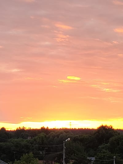 This is a vertical, eye-level shot of a sunset over a tree line in Venyukovo, Russia. The sky is a gradient of pink and orange hues, with scattered clouds catching the light. The horizon is marked by a dense line of dark green trees. In the foreground, a few utility poles with wires are visible, and some greenery is present at the bottom edge of the frame. The time of day is clearly sunset due to the colors in the sky and the low light. The overall mood is peaceful and serene, typical of a sunset scene. There is no visible text in the image.