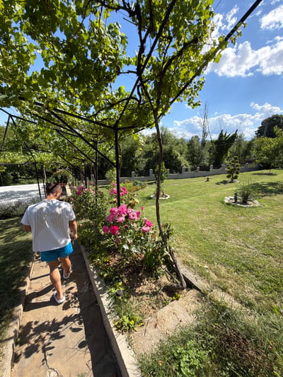 A man walks on a stone path through a garden in Chavei, Bulgaria. He is wearing a white t-shirt with a wing design on the back and blue shorts. The path is lined with rose bushes and a trellis covered in vines. The garden has a well-maintained lawn, a stone fence, and several decorative trees. The sky is blue with white clouds.