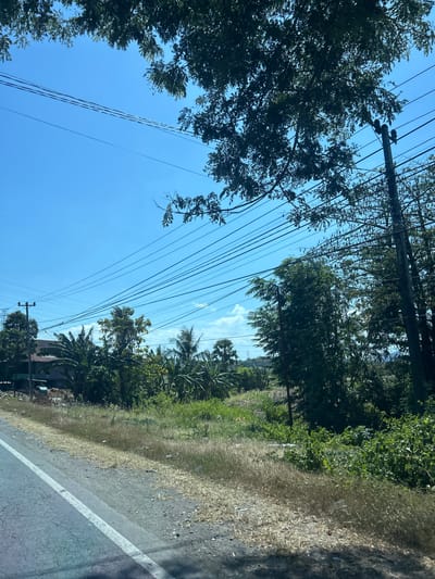 The image depicts a roadside scene in Jeneponto, Indonesia, under a clear blue sky with sparse white clouds. A paved road with a white line runs diagonally from the lower left to the mid-right of the frame. The roadside verge is covered in dry, yellowed grass and scattered debris. Beyond the verge, a dense area of lush green vegetation, including palm trees, is visible. In the background, several utility poles with numerous overhead power lines stretch across the sky, some partially obscured by the foliage of trees that overhang the scene from the upper portions of the image. A building with a reddish-brown roof and green walls is partially visible on the left, nestled amongst the trees. The overall impression is one of a rural or semi-rural area with ongoing infrastructure development.