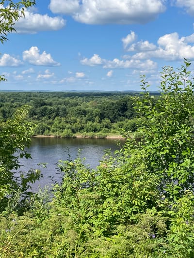 A scenic view of a wide river with a tree-lined bank under a blue sky with white clouds is captured from a high vantage point. Lush green foliage frames the foreground, suggesting an elevated position overlooking the natural landscape. The water is a deep, calm blue, reflecting the sky above. The opposite bank is densely covered with a variety of trees, creating a verdant wall that stretches towards the horizon. In the distance, rolling hills are visible, softened by the atmospheric haze. The overall impression is one of tranquility and natural beauty. This landscape could be located along the Cheptsa River in Kirovo-Chepetsk, Russia, a city known for its natural surroundings.