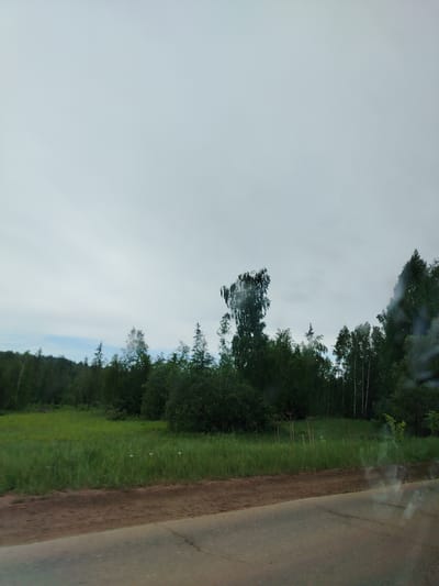 The image shows a roadside view in Краснояр, Russia. The foreground is a gray asphalt road with a dirt shoulder. Beyond the shoulder is a grassy field with dense green vegetation and clusters of trees. In the background, a dark line of forest borders the horizon. The sky is overcast and gray. No people or animals are visible.