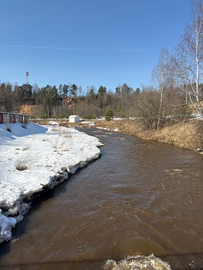 Oleshkovo, Russia: The image presents a landscape featuring a turbid, brown-colored river flowing from the foreground towards the background under a clear, light blue sky containing one visible contrail. The left riverbank, from the lower left to the mid-ground, is predominantly covered in a thick, uneven layer of melting snow and ice, with patches of dry, light-colored vegetation emerging. Adjacent to this snow-covered bank are four red-sided modular structures, each with a single window, arranged in a row. The right riverbank consists of dry, light brown grass and sparse, bare deciduous trees. Further inland on the right bank, a small, white, single-story shed is visible. Both banks are backed by rising terrain, densely covered with a mix of bare deciduous trees and evergreen conifers. In the distance, atop the treeline on the left, a red and white lattice communication tower stands prominently. No individuals or discernible activities are present in the scene.