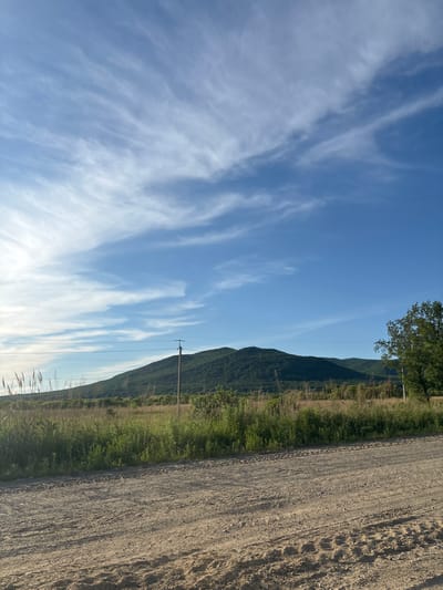 The image depicts a rural landscape scene likely near Kalinino, Russia. In the foreground, a dirt road with visible tire tracks is present. Beyond the road, a field of tall grass and vegetation stretches towards a distant, tree-covered mountain range. The sky is a vibrant blue, with scattered wisps of white clouds. A single utility pole with wires runs across the mid-ground, in front of the mountains. A lone tree stands to the right of the frame, partially obscuring the mountain landscape. The lighting suggests it is either early morning or late afternoon, casting a gentle glow on the scene. No people or animals are visible.