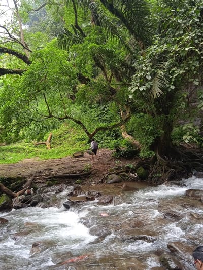 A man wearing a grey shirt and black shorts, and carrying a backpack, walks away from the camera along a rocky, dirt trail. He is near a small, shallow river with rocks protruding from the water. The river flows from right to left towards the camera. The man is walking on the right bank of the river. The river is partially obscured by foliage. The scene is in a heavily wooded area. The location is a wooded area near a river in Tawangmangu, Indonesia (coordinates: -7.655, 111.135). The man's face is not visible. There are tree roots and foliage on both sides of the river. The man is the only person visible.