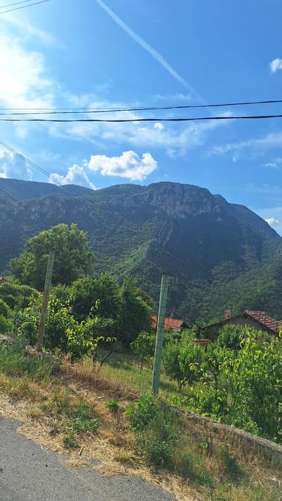 The image depicts a scenic view of a mountainous landscape near Lyutibrod, Bulgaria. The foreground features a section of asphalt road bordering a grassy area with dry vegetation and some green plants. A wire fence, supported by green metal posts, runs along the property line. Beyond the fence, a lush green garden or orchard is visible, with various trees and bushes. In the middle ground, several houses with red-tiled roofs are nestled among the greenery. The background is dominated by a majestic, densely forested mountain range under a bright blue sky with scattered white clouds. A distinct contrail from an aircraft stretches across the sky. The overall impression is one of a rural, natural setting in a mountainous region.