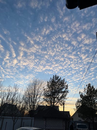 The scene depicts an outdoor environment in Заозерное Снт, Russia, during either sunrise or sunset, indicated by the low sun angle and the warm, yellowish-orange glow on the horizon to the right. The sky is largely clear blue, densely covered with widespread altocumulus or cirrocumulus clouds forming numerous small, white, rippled patches.
In the midground, a light-colored fence or wall runs horizontally across the frame. Behind this fence, several residential buildings with sloped roofs are partially visible, obscured by vegetation. A dark-roofed gazebo with white latticework is prominently featured in the lower-center.
Vegetation consists of several bare deciduous trees with intricate branch networks on the left and center, silhouetted against the sky. Two taller, dark coniferous trees, likely pines, are silhouetted on the right side of the frame.
Utility lines or power cables stretch diagonally across the upper-right quadrant of the image. A dark, unidentified structural element is visible at the very top edge of the frame.
Two vehicles are partially visible: a dark-colored car in the lower-left corner, largely obscured by the fence, and a light-colored minivan parked on the right. One individual, dressed in dark clothing, is partially visible standing near the rear passenger side of the minivan. No specific actions or interactions are clearly discernible beyond their presence.