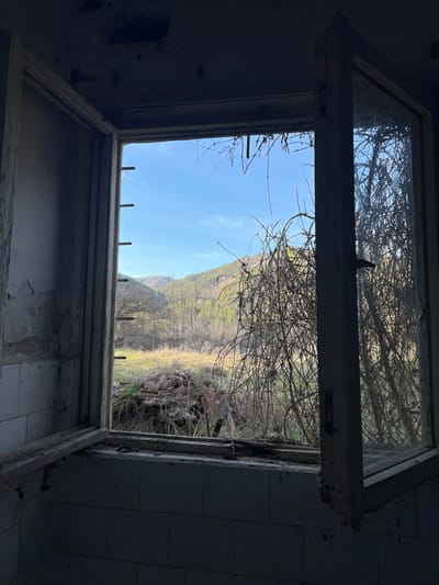 The scene depicts an interior view from a darkened, dilapidated structure, looking out through an open, weathered wooden window onto a rural landscape in Byal Izvor, Bulgaria. The interior walls visible in the foreground are dark, with sections of white rectangular tiles along the lower portion and distressed, peeling plaster or concrete above. The ceiling appears rough and damaged. The window frame is aged wood, with both panes open. The left pane is fully open, revealing five horizontal metal bars fixed to its side. The right pane is partially open, angled towards the viewer.

Outside the window, dense, tangled, bare branches of a vine or bush partially obscure the view, particularly on the right side. Beyond this immediate overgrowth, a sunlit field stretches out, covered in dry, light-colored grass with patches of green. A distinct pile of reddish-brown debris, resembling broken bricks or tiles, is located in the field directly below the window. In the midground, deciduous trees with bare branches are scattered. The background features undulating hills or mountains covered in a mix of sparse, bare forest and some green foliage under a clear, bright blue sky. No individuals, animals, or active interactions are present in the frame.