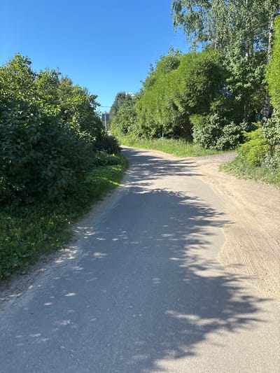 The image shows a paved road in Янино-2, Russia, curving to the right. The road is lined with lush green trees and bushes on both sides, with a clear blue sky overhead. Sunlight filters through the leaves, casting dappled shadows on the pavement. The ground next to the road is covered with grass and gravel. There are no people or animals visible in the image, and the scene appears peaceful and natural.