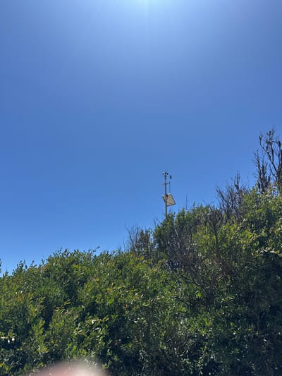 The image, taken in Frankston, Australia, presents a clear blue sky dominating the scene. Along the right side and extending into the top-right corner, dense green foliage from trees or large bushes frames the view. In the upper-middle section of the sky, a weather station is visible, mounted on a pole. This station includes an anemometer (with three cups) and a wind vane, indicating it measures wind speed and direction. Below these instruments, a small solar panel is attached to the pole, likely powering the device.

The bright, unblemished blue sky, with a visible sun glare in the top-left, suggests a sunny day with no clouds. No human activity is depicted; the scene captures a moment of nature and technology coexisting, with the weather station passively monitoring environmental conditions. The lush greenery indicates a healthy outdoor environment. There is no visible text in the image.
