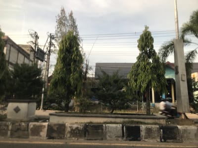 This outdoor image captures a street scene in Kutalhoksukon, Indonesia, likely featuring a road median. The foreground shows weathered concrete barriers and raised planters, one of which has a small diamond emblem. Beyond these, several tall, slender evergreen trees with dense, weeping foliage are prominent, alongside other shrubs and smaller trees.

In the background, a network of utility poles with numerous overhead wires suggests electrical or communication infrastructure. Various buildings are visible, including a multi-story structure on the left, and other buildings with dark roofs and light-colored facades partially hidden by vegetation in the center-right. A metal fence runs behind some of the trees.

On the far right, two individuals on a motorcycle are captured in motion blur, indicating ongoing traffic. The sky is overcast and bright, suggesting either early morning or late afternoon with diffuse light. The overall scene depicts a typical semi-urban environment with a mix of natural elements and human development. No legible text is visible in the image.