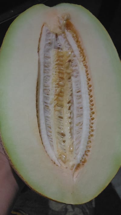 The image is a close-up, overhead view of a halved honeydew melon. The melon is pale green on the outside with a slight pinkish hue near the stem end. The interior reveals the characteristic fibrous, stringy pulp surrounding a cavity filled with numerous small, oval, tan-colored seeds. The flesh of the melon is a creamy white to pale yellow, and some moisture glistens on the seeds and surrounding pulp. The background is dark and out of focus, suggesting the melon is resting on a dark surface. There is no discernible location in Ak-Terek, Kyrgyzstan, or any people visible.
