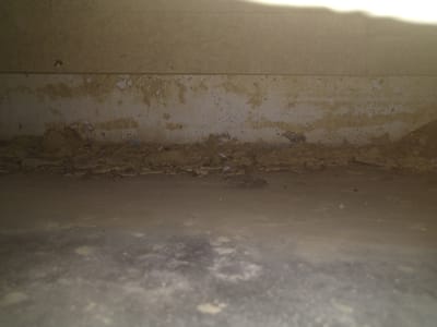 The image depicts a low-angle, close-up view of a severely deteriorated concrete or plaster wall and floor area, possibly a basement or crawl space. The wall, which occupies the upper portion of the frame, shows significant signs of damage, including extensive peeling paint, cracking, and water stains. The lower section of the wall is obscured by accumulated debris and what appears to be delaminated material. The floor, occupying the foreground, is uneven and appears to be composed of compacted dirt or concrete with scattered patches of moisture or staining. The lighting is dim, with a bright light source visible at the top edge of the frame, creating a harsh glare. There are no people or any other discernible objects or subjects present in the scene. The overall impression is one of neglect and disrepair within a confined, indoor environment. The provided location information "Gampongbaro, Indonesia" does not correspond to any visually identifiable features within the image itself.
