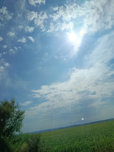 The image depicts a rural landscape with a vast expanse of green vegetation, possibly a field of crops or a meadow, stretching across the lower portion of the frame. A lone tree with dark green foliage stands on the left side of the image, partially obscuring the view of the field. The sky is a vibrant blue, dotted with scattered white clouds. The sun is bright and positioned in the upper right quadrant of the image, casting a strong light and creating a lens flare effect. The horizon line is visible, separating the field from the sky, and suggests a gently rolling terrain. The overall impression is one of a sunny day in a natural setting, likely in the countryside outside of Zimbreni, Moldova.