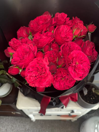A bouquet of red roses wrapped in black paper with a red ribbon is situated on a dark brown surface with a light gray background. In the upper-right corner, there is a potted plant with dark soil, a white object, and part of a white appliance or piece of furniture with some black handles and metallic accents. The location is in Des Plaines, United States.