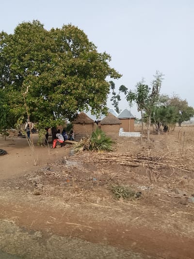 This image captures a rural outdoor scene in Minting Chip, Nigeria, under a hazy, light-grey sky. The ground throughout the foreground and midground is composed of dry, reddish-brown earth with areas of sparse, dry vegetation.

In the left midground, a large, dense-canopied green tree provides shade. Beneath this tree, a group of approximately 5-7 individuals are gathered; most are seated on a low, dark-colored bench or ledge. One person in a white top and orange-red trousers is clearly visible, facing right. Another individual in a blue top is partially visible standing to the left. Their specific interactions are not discernible beyond being congregated. Adjacent to the seated group, on the bare ground, a small, smoldering pile of refuse is visible, emitting a faint wisp of smoke. To the far left, several dark, circular objects resembling discarded tires are stacked.

In the central midground, three distinct structures are present. Two are traditional circular huts constructed with brown mud walls and conical thatched roofs. To their right stands a rectangular building with light brown walls and a sloped, grey metal roof. The lower section of this rectangular building features a distinct white-tiled or painted base.

The right midground and background consist of more dry, reddish-brown earth and sparse, dry vegetation, including several small, slender trees and a larger, less-foliated tree further back on the right. A large, horizontal stack of light-colored sticks or reeds is piled on the ground in the mid-right.