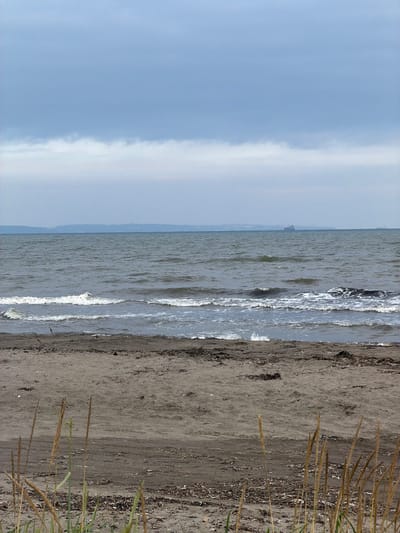 The image depicts a serene, overcast day at a beach. The foreground is a sandy beach with scattered debris, including dried seaweed and grass. In the mid-ground, the dark, choppy waves of the sea break onto the shore under a pale, cloudy sky. In the distance, a hazy landmass stretches across the horizon, with a large ship visible on the water. The overall impression is one of natural tranquility. This scene could be located on the coast of Aniva, Russia, given the geographical context provided.