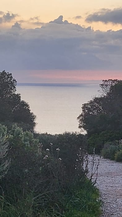 This image depicts a coastal landscape in Santa Ponça, Spain, observed during twilight hours, evidenced by the ambient light and sky coloration. The scene is framed by natural vegetation. In the foreground, a dirt or gravel path is partially visible on the right, bordered by dense green grasses and low-lying shrubs. Scattered white flowers are present among the foliage in the lower-mid section. Lush, dark green trees and bushes occupy the left and right sides of the midground, creating an opening that leads to a view of the sea. The sea surface is calm, appearing light grey-white, and extends to the horizon. Above the horizon, the sky exhibits a soft pink and orange hue, transitioning to pale blue, and is topped by a dense layer of grey cumulus clouds. A distinct, peaked cloud formation is visible near the top center of the frame. The uppermost sky displays a faint yellowish tint. No human figures, animals, or artificial structures, other than the path, are present in the visible area.