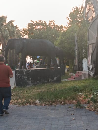 In Erdek, Turkey, a statue of two elephants stands prominently in an outdoor setting. A man in a red shirt and blue jeans walks on a paved walkway in the foreground, facing away from the camera. Beside the walkway, a small white dog is visible on the grass. In the background, behind the elephant statues, several people are walking and standing around. The environment features lush greenery, palm trees, and a large, ornate structure on the right side of the frame with lettering that appears to read "BALOONS OF PORTO". The sky above is a pale orange, suggesting it may be dusk or dawn.