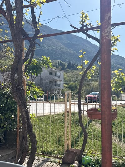 The image depicts a view from what appears to be a balcony or porch in Zgrade, Montenegro. A weathered, rusty metal frame supports climbing plant branches with young leaves. In the background, a building with a light-colored facade and multiple windows is visible. A red car is parked on a road leading away from the building, partially obscured by a white metal fence. A mountain covered in green vegetation is in the distance under a clear blue sky. The foreground also contains a green soccer ball.
