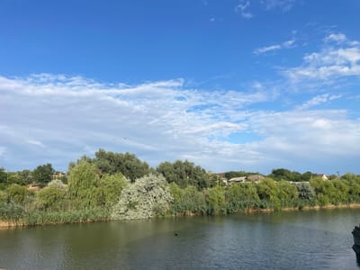 The image depicts a serene natural scene by the water, possibly in the city of Colibași, Moldova. A calm body of water, with subtle ripples, occupies the lower half of the frame. The shoreline is densely lined with reeds and various types of trees, ranging from tall, leafy trees to smaller bushes. Some of the foliage is a vibrant green, while other trees appear lighter, possibly due to their species or the angle of the sun. In the background, beyond the trees, are a few houses with visible rooftops, suggesting a residential area bordering this natural landscape. The sky above is a clear blue, dotted with scattered white clouds, some of which are elongated and wispy, indicating fair weather. A few small dark shapes, possibly birds, are visible in the sky and above the water. The overall impression is one of a tranquil, rural or semi-rural setting.