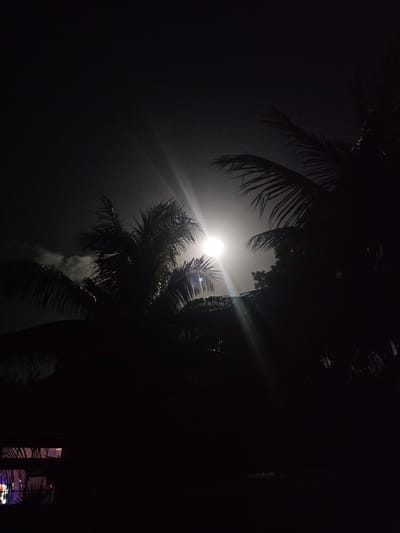 A low-angle, nighttime photograph captures a bright full moon partially obscured by silhouetted palm trees. The moon is positioned in the upper center of the frame, emitting a strong glare that creates visible light rays extending outwards. The palm fronds are dark and distinct against the bright moon and the darker sky. In the lower left quadrant, the silhouette of a building with glowing windows is visible, reflecting purple and pink light. The overall scene suggests a tropical or subtropical environment at night in Islamorada, Florida, United States of America.